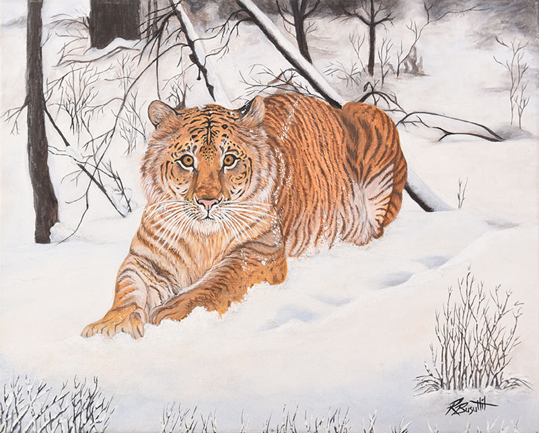 Tiger in Snow