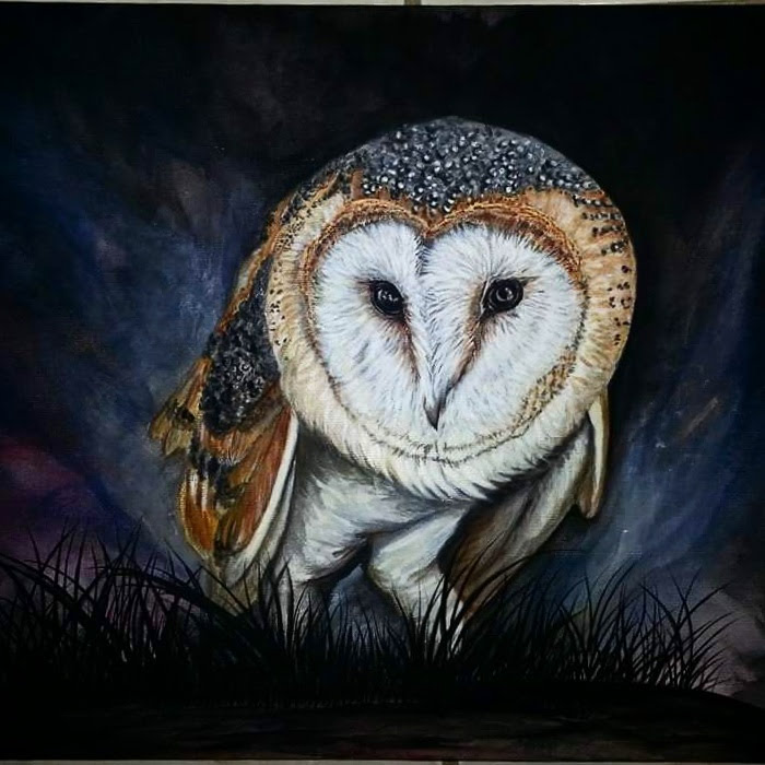 Barn Owl: Acrylics